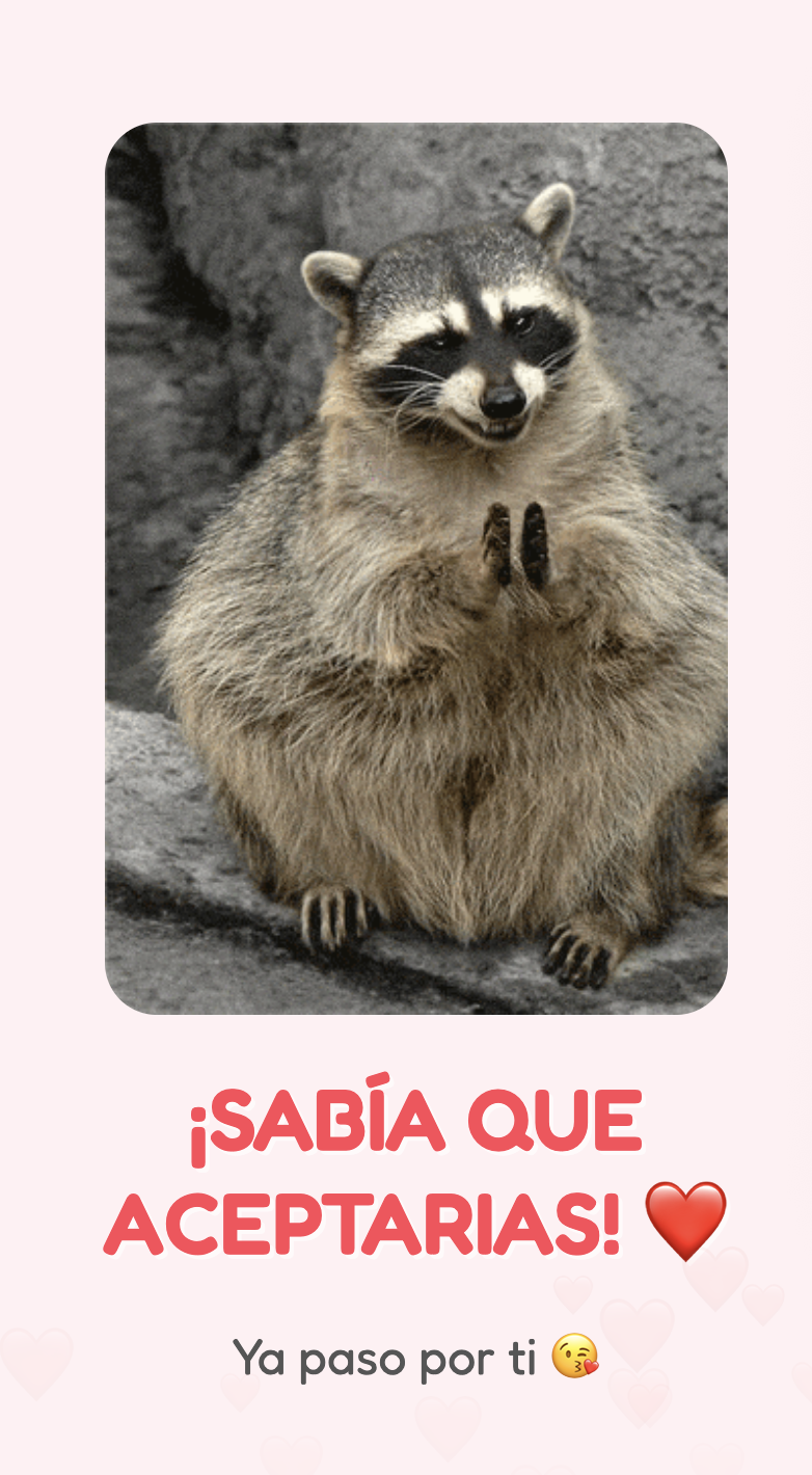 San Valentin con Gatos 1